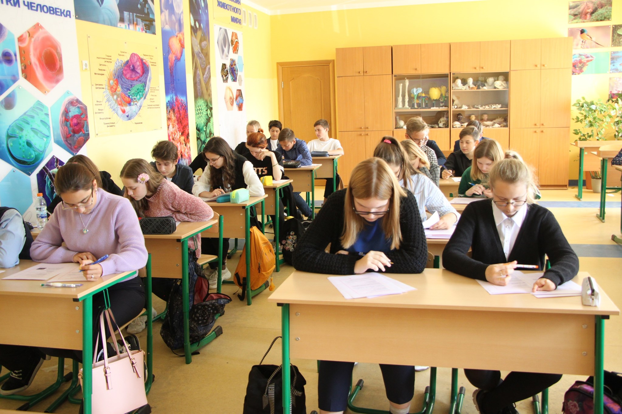 Зеленоградские школьники написали Всероссийский экологический диктант