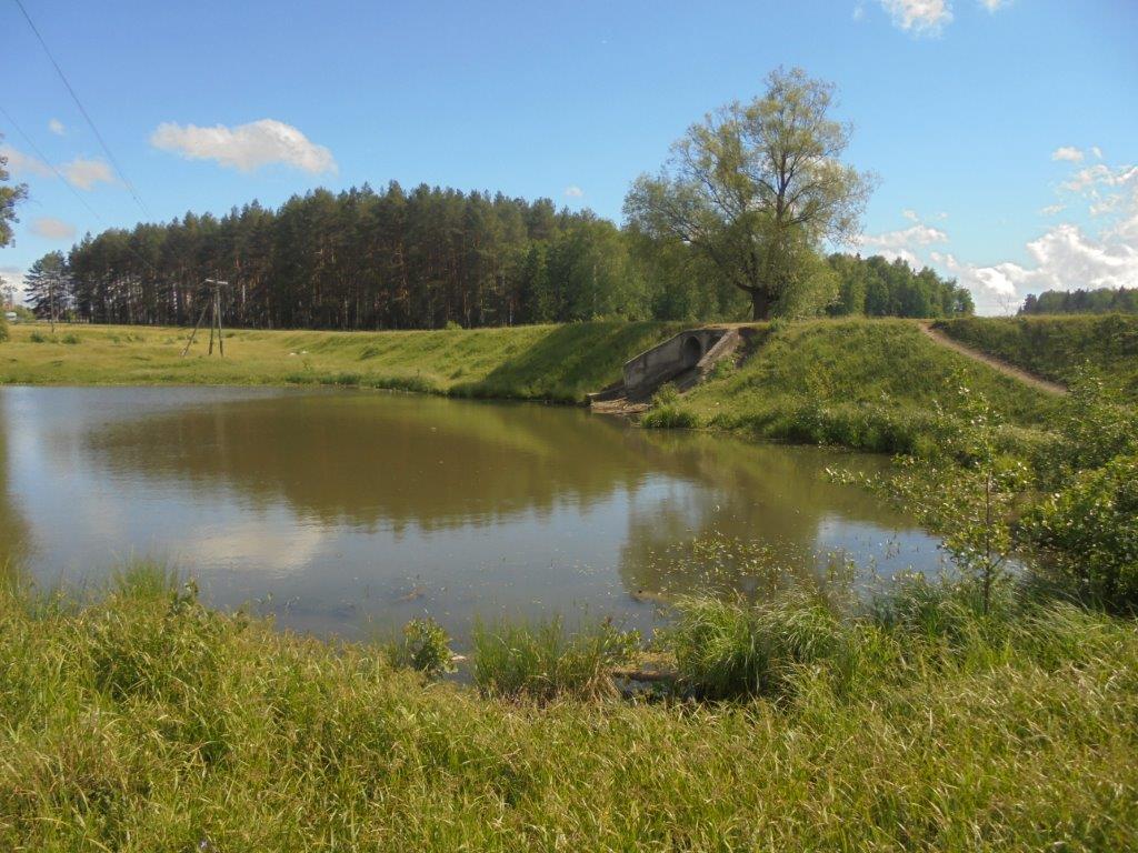 Власти Зеленоградска забирают бесхозные гидротехнические объекты в собственность