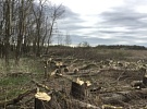 Выявлен собственник земельного участка, который вырубает мелиоративные защитные лесные насаждения