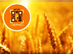 Зеленоградских сельхозпроизводителей 8 июля приглашают на обучающий семинар «Обучение работе во ФГИС «Зерно»