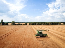 Урожайность ячменя на полях Зеленоградского округа превысила 6 тонн с гектара