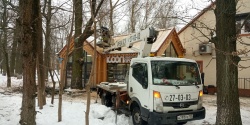 У 17 лип на улице Ткаченко в Зеленоградске уберут аварийные ветви  и сформируют новые кроны