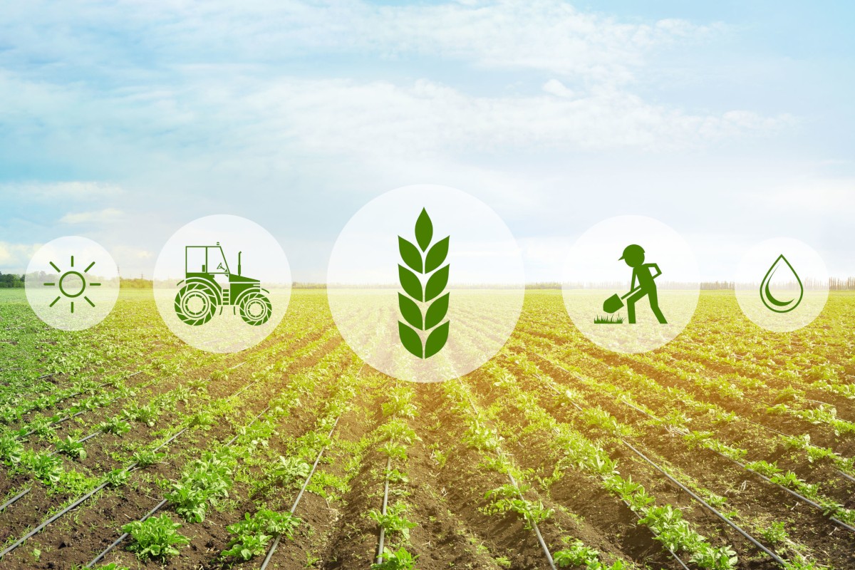 Ресурсосберегающее земледелие - основа рентабельности сельхозпредприятий